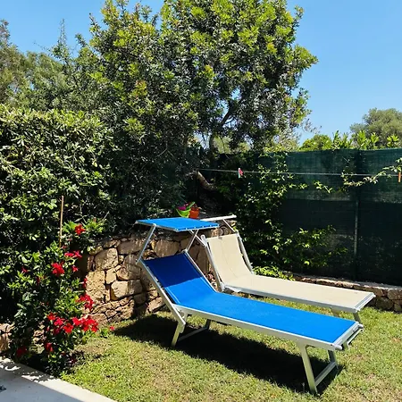 度假居 Dreamhouse *