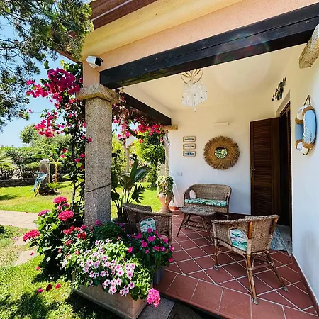 Dreamhouse *