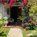 Prázdninový dům Dreamhouse San Teodoro (Sardinia)