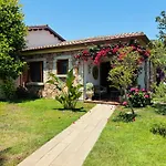 Dreamhouse