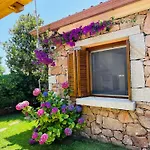 Dreamhouse * San Teodoro (Sardinia)